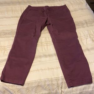 Old Navy - Pixie Pants 12P